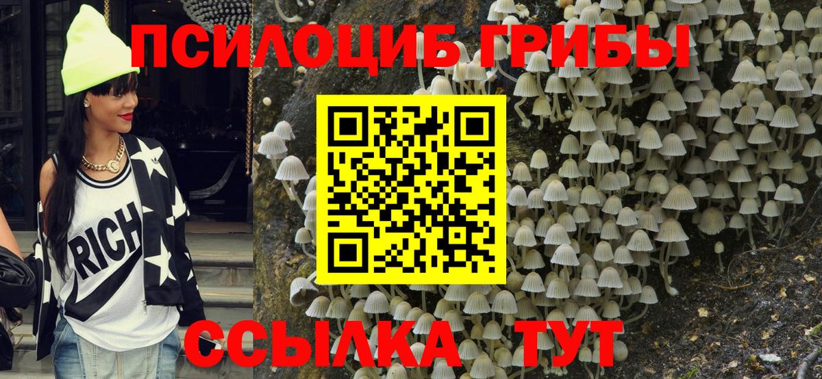 Псилоцибиновые грибы Magic Shrooms  Вход с VPN  Галлюциногенные грибы Magic Shrooms  Мурманск 